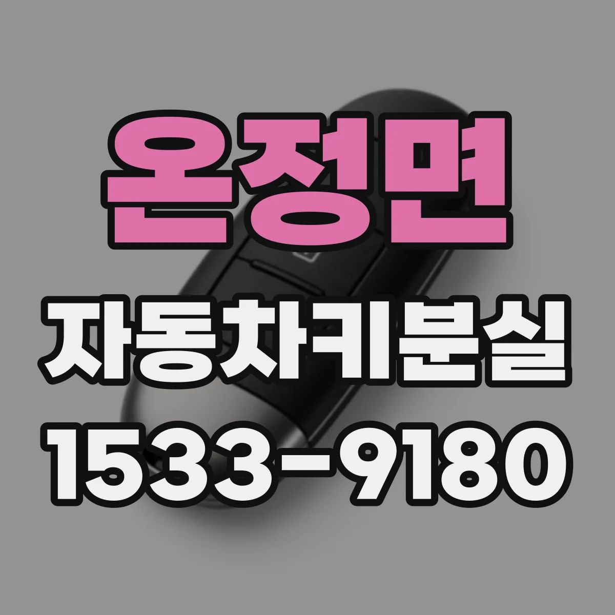 온정면 자동차키분실