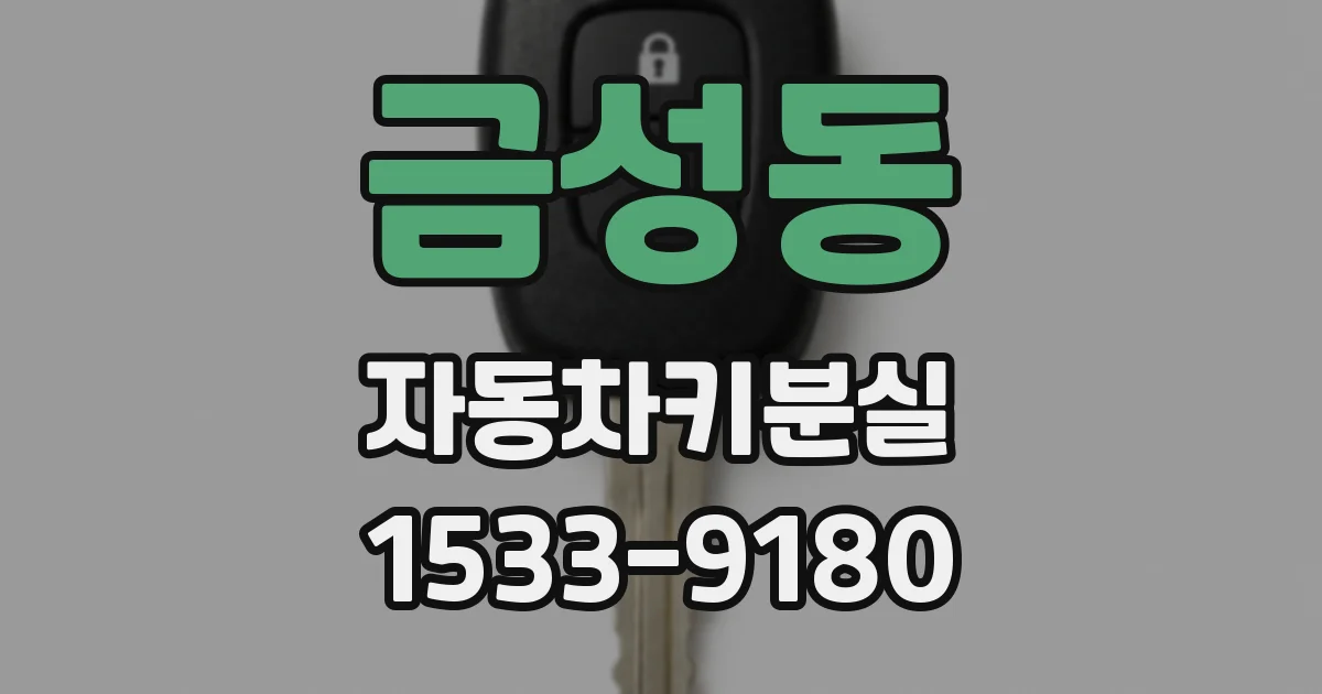 금성동 자동차키분실