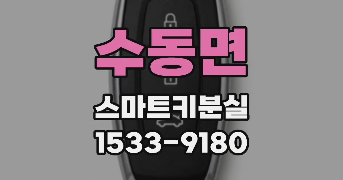 수동면 스마트키분실