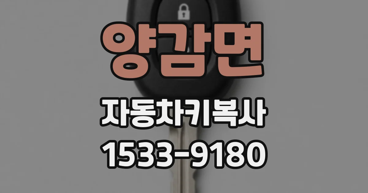 양감면 자동차키복사