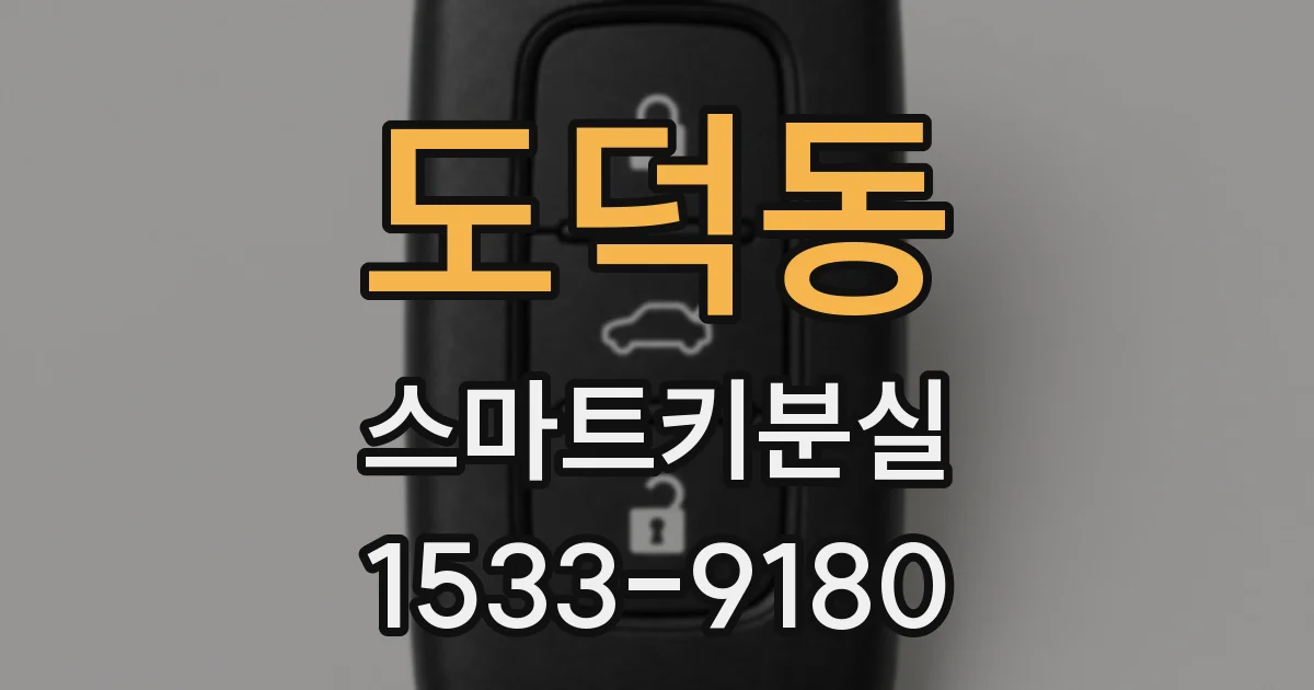 도덕동 스마트키분실