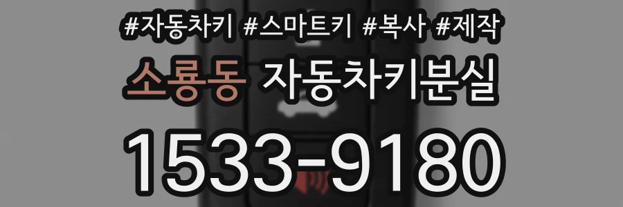 소룡동 자동차키분실