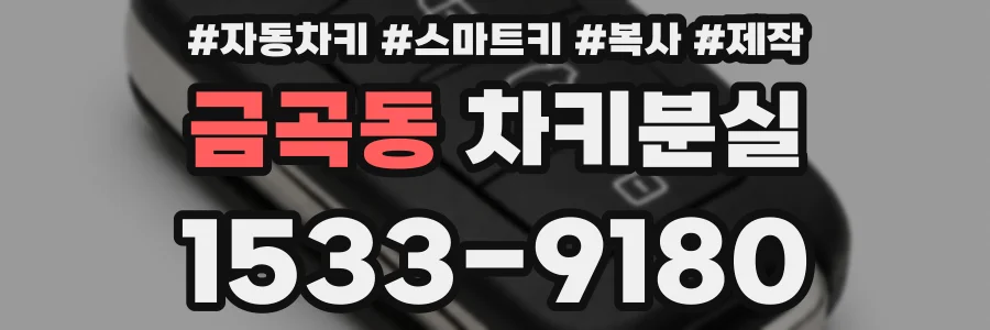 금곡동 차키분실