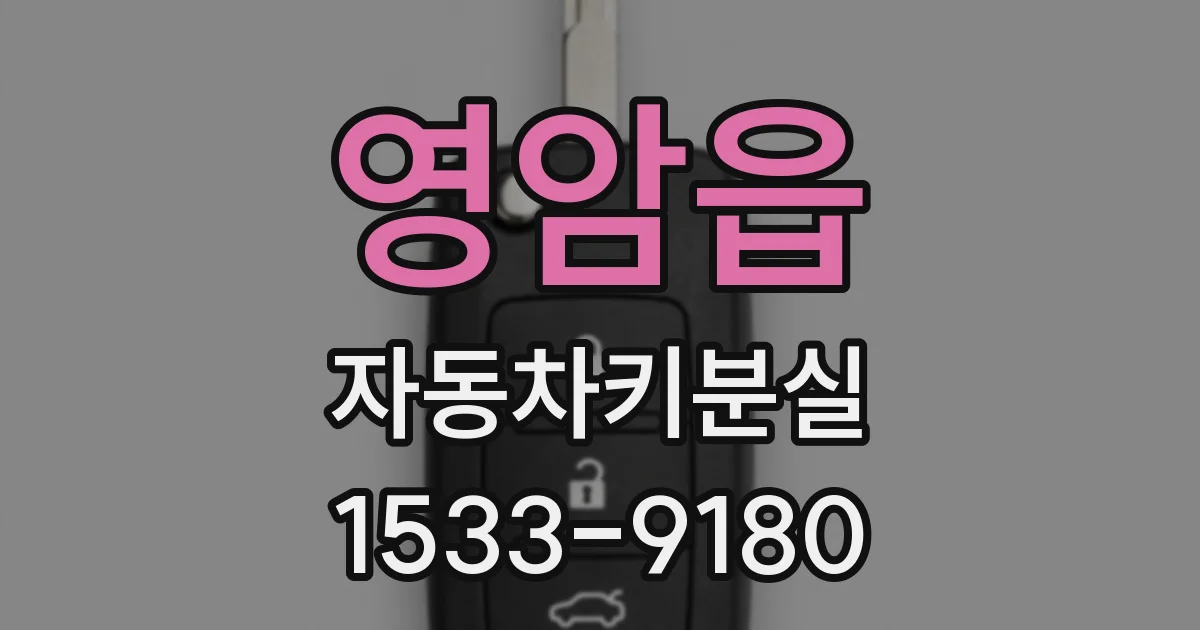 영암읍 자동차키분실