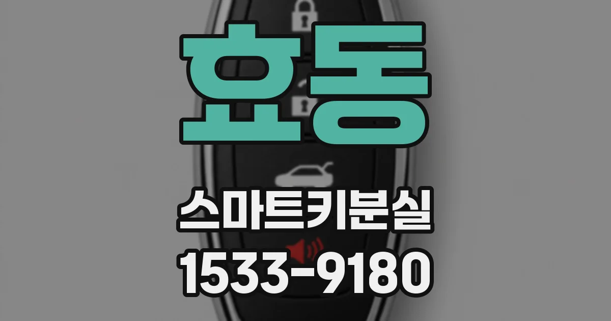 효동 스마트키분실