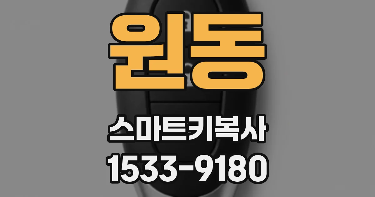 원동 스마트키복사