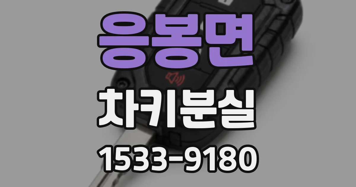 응봉면 차키분실
