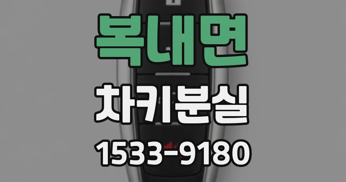 복내면 차키분실