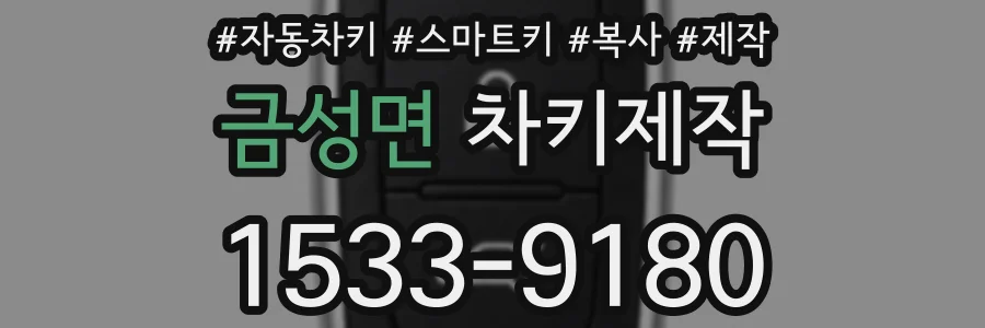 금성면 차키제작