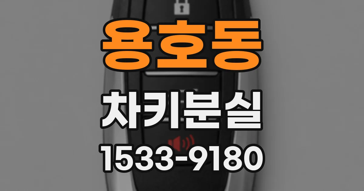 용호동 차키분실