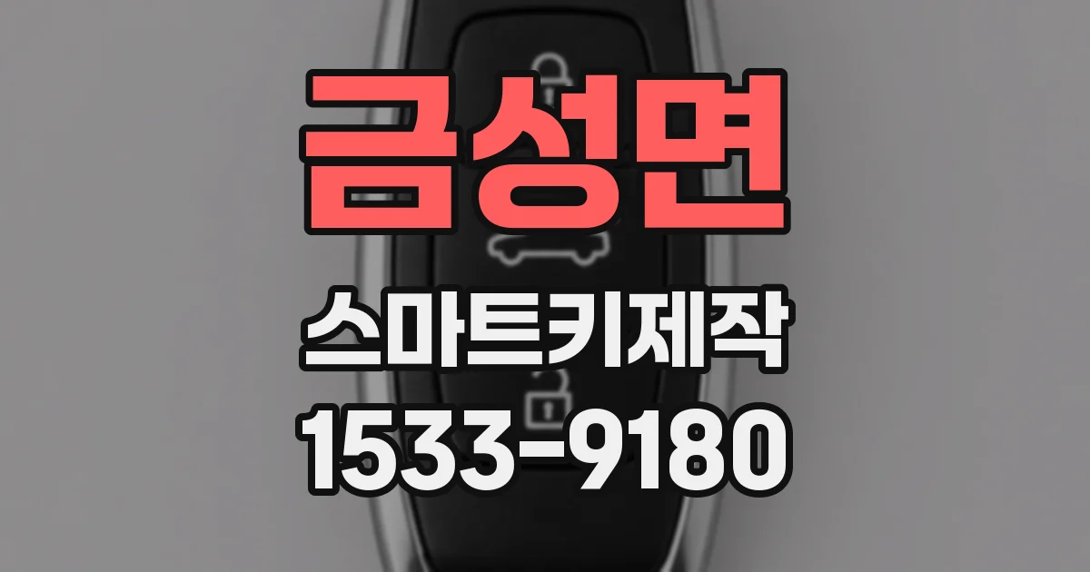 금성면 스마트키제작