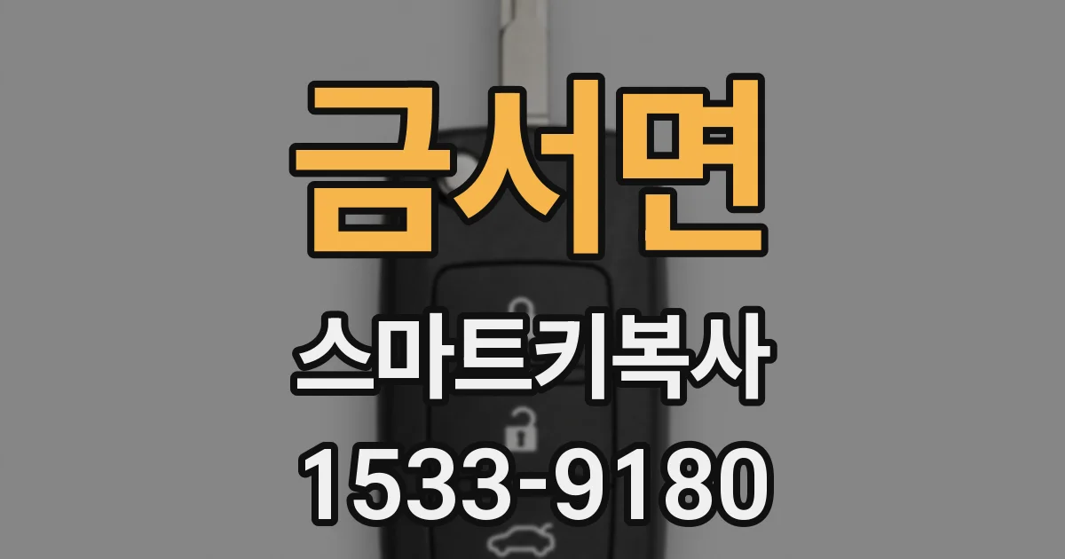 금서면 스마트키복사