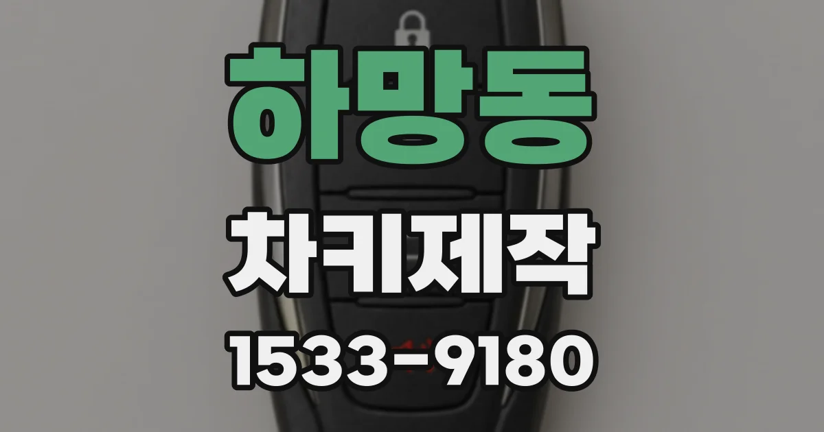 하망동 차키제작