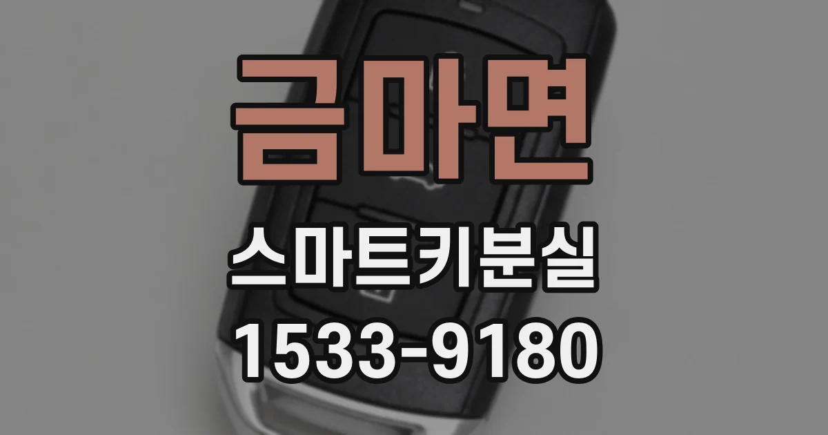 금마면 스마트키분실