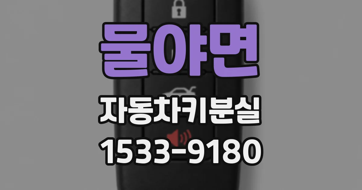 물야면 자동차키분실