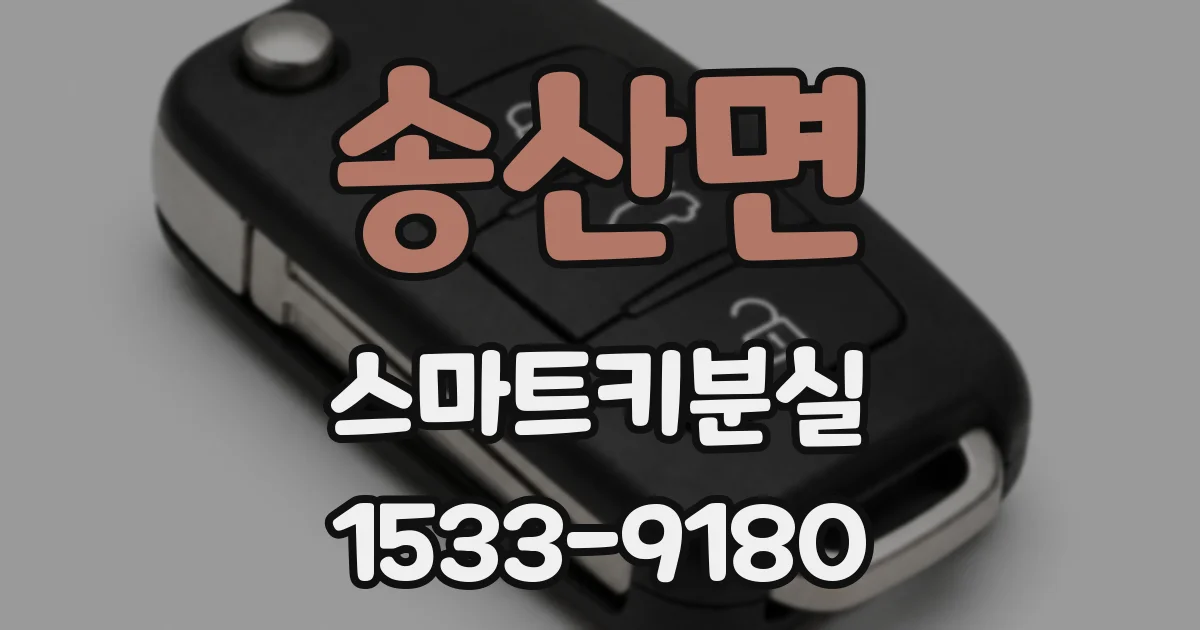 송산면 스마트키분실