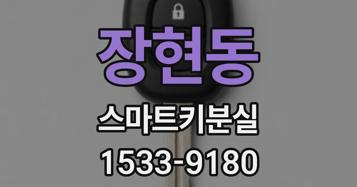 장현동 스마트키분실