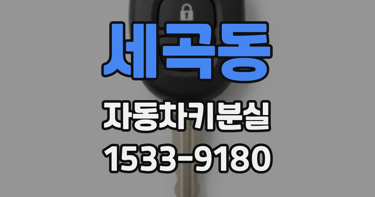 세곡동 자동차키분실