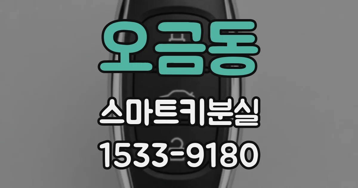 오금동 스마트키분실
