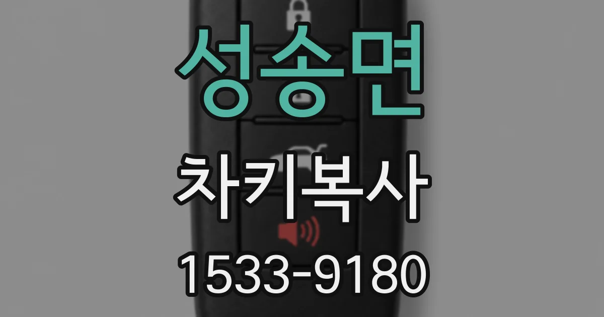 성송면 차키복사