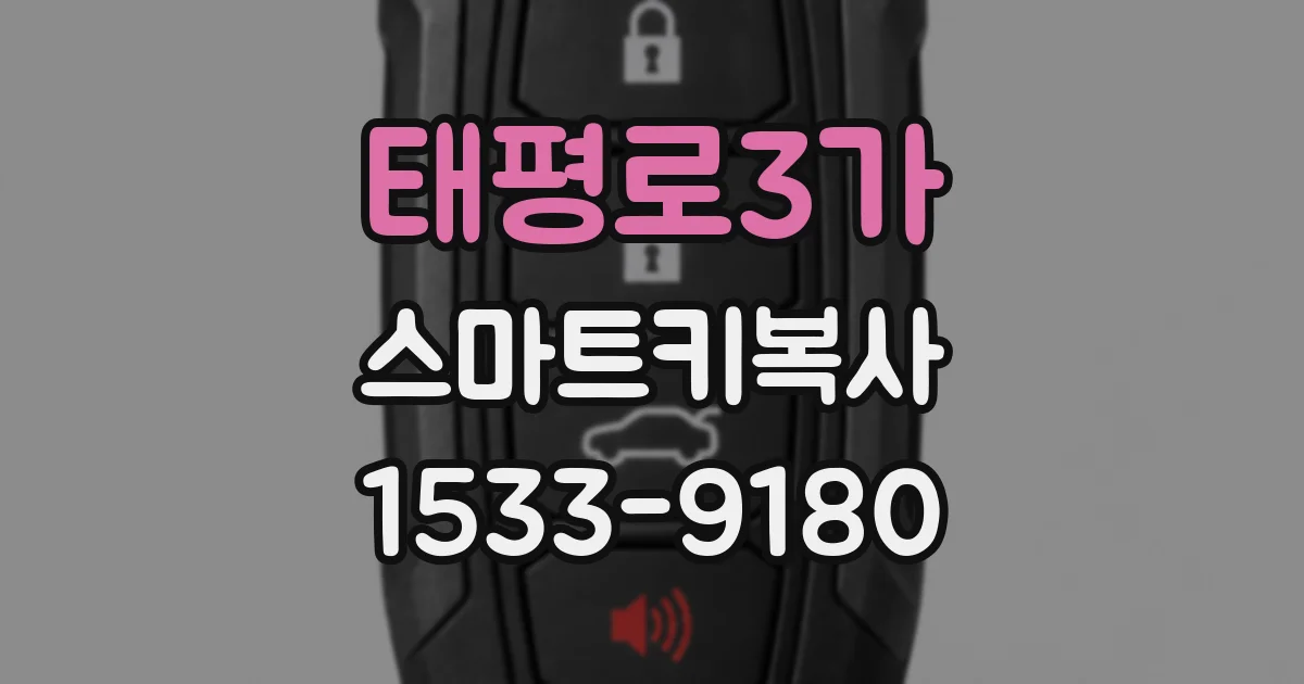 태평로3가 스마트키복사