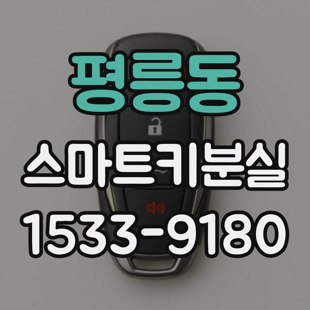 평릉동 스마트키분실