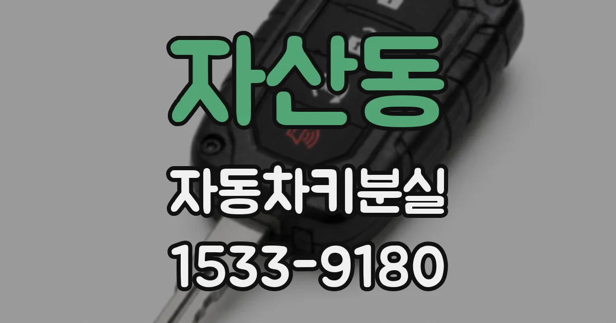 자산동 자동차키분실