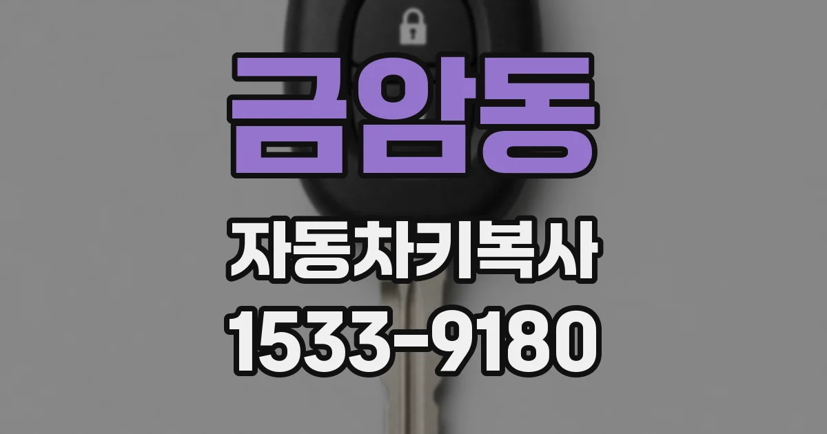 금암동 자동차키복사
