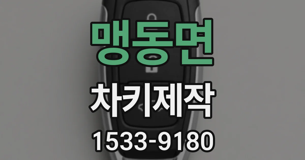맹동면 차키제작