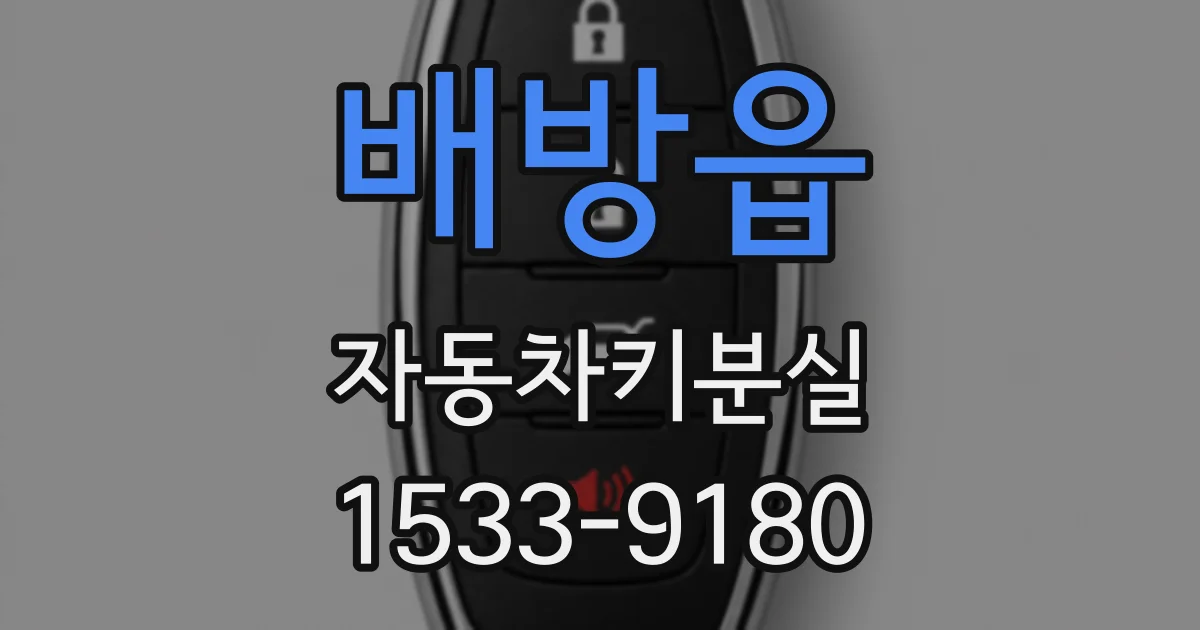 배방읍 자동차키분실