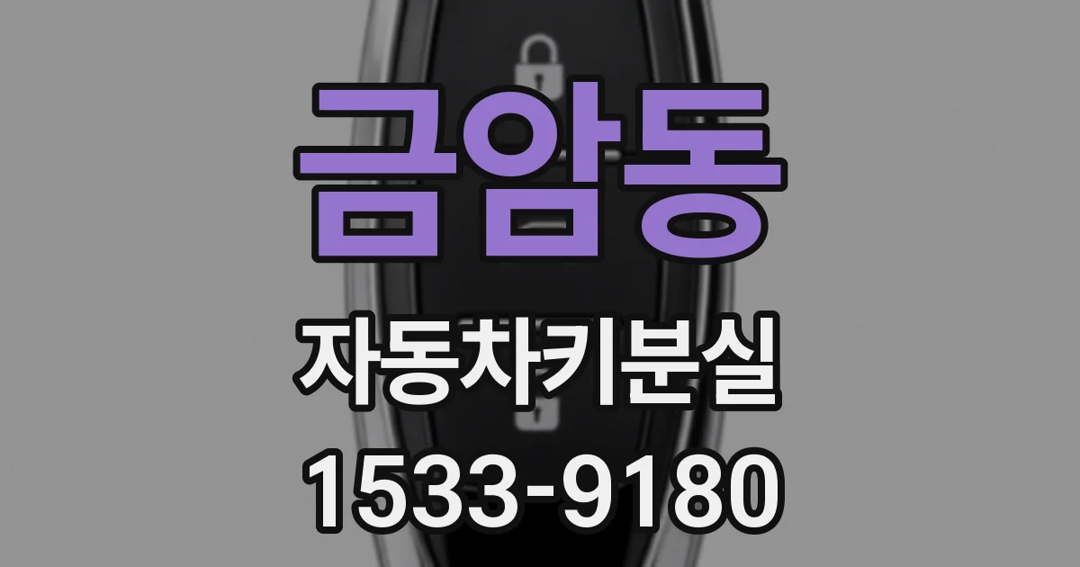 금암동 자동차키분실