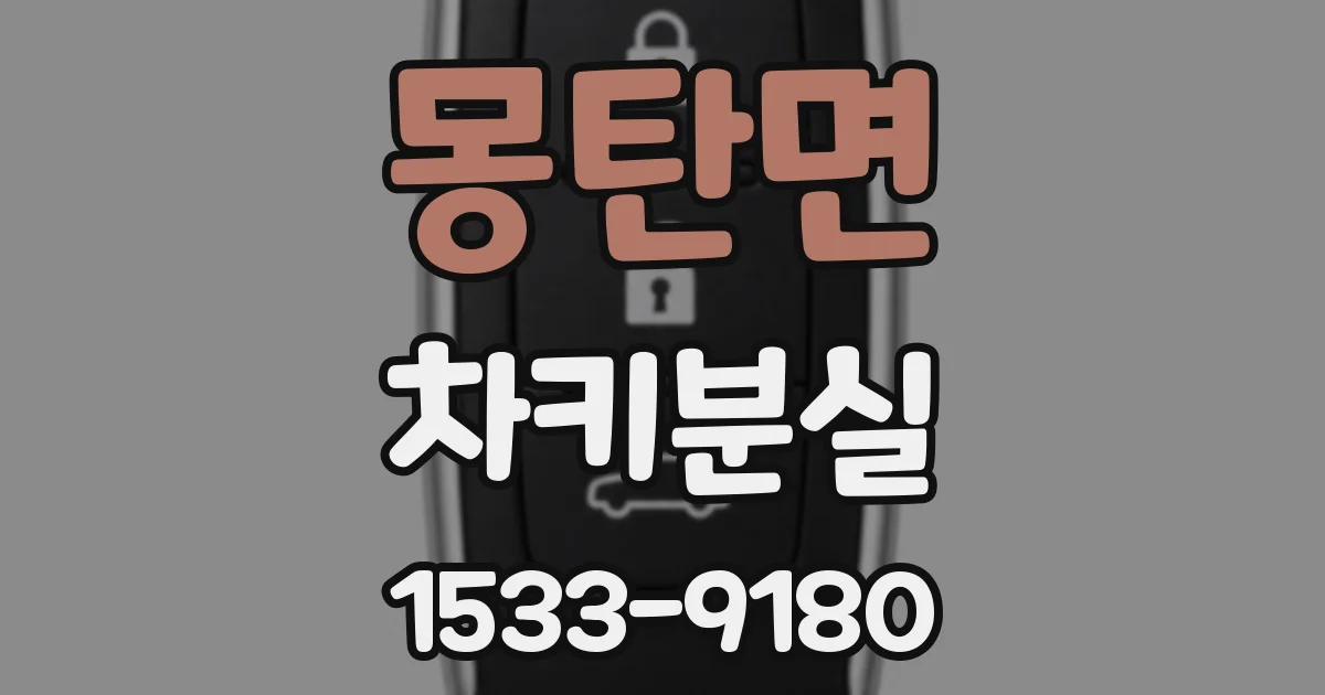 몽탄면 차키분실