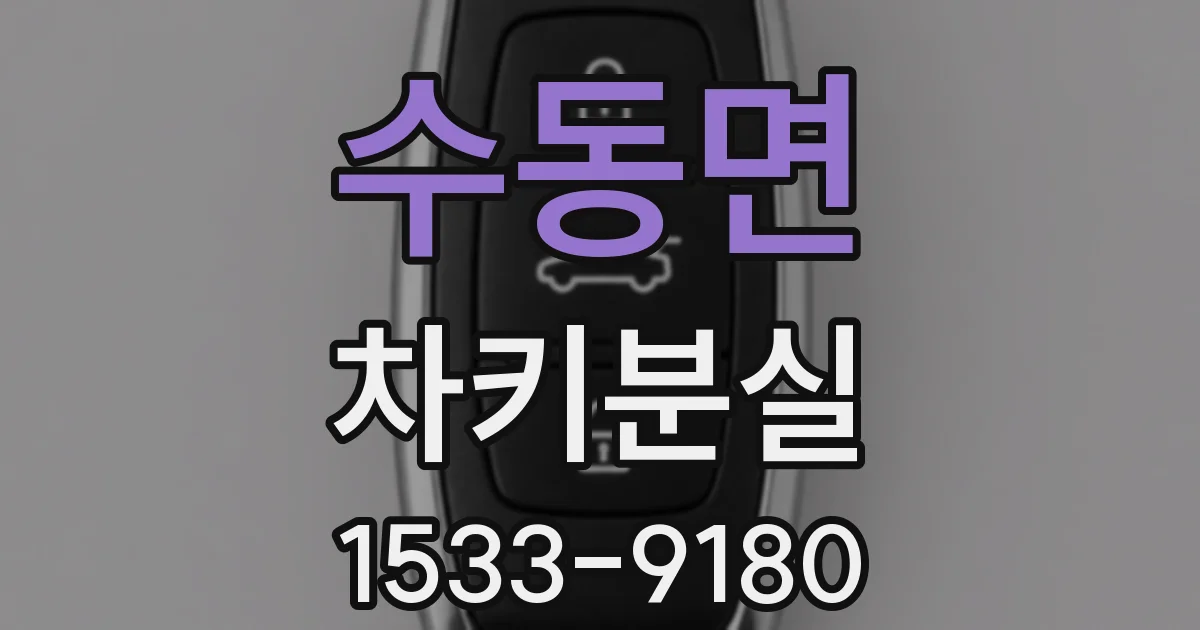 수동면 차키분실