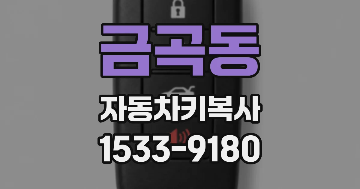 금곡동 자동차키복사