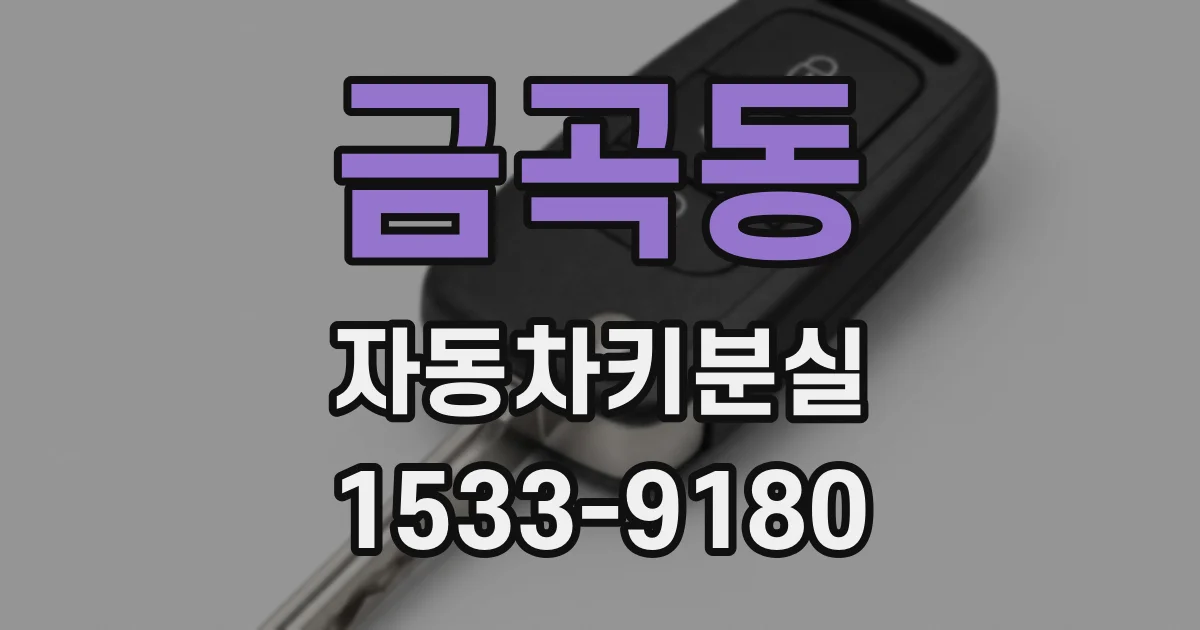 금곡동 자동차키분실