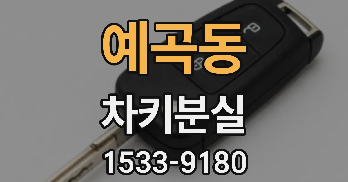 예곡동 차키분실
