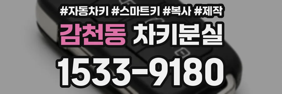감천동 차키분실