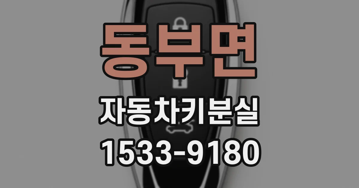 동부면 자동차키분실