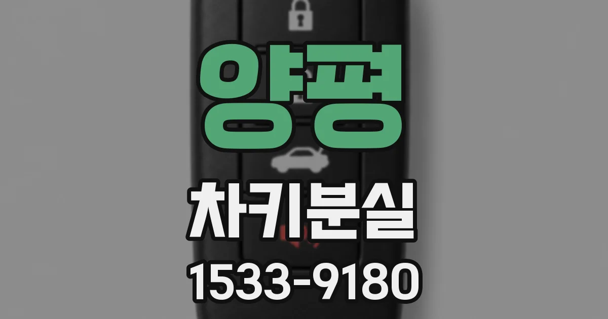 양평 차키분실