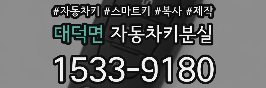 대덕면 자동차키분실