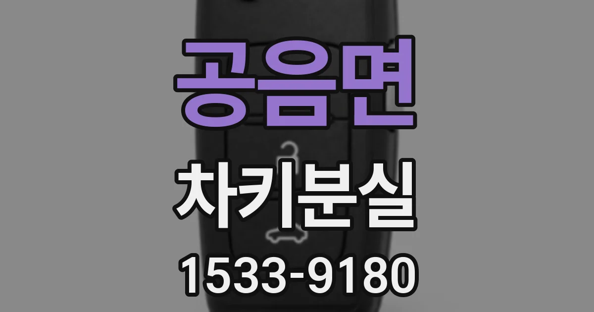 공음면 차키분실
