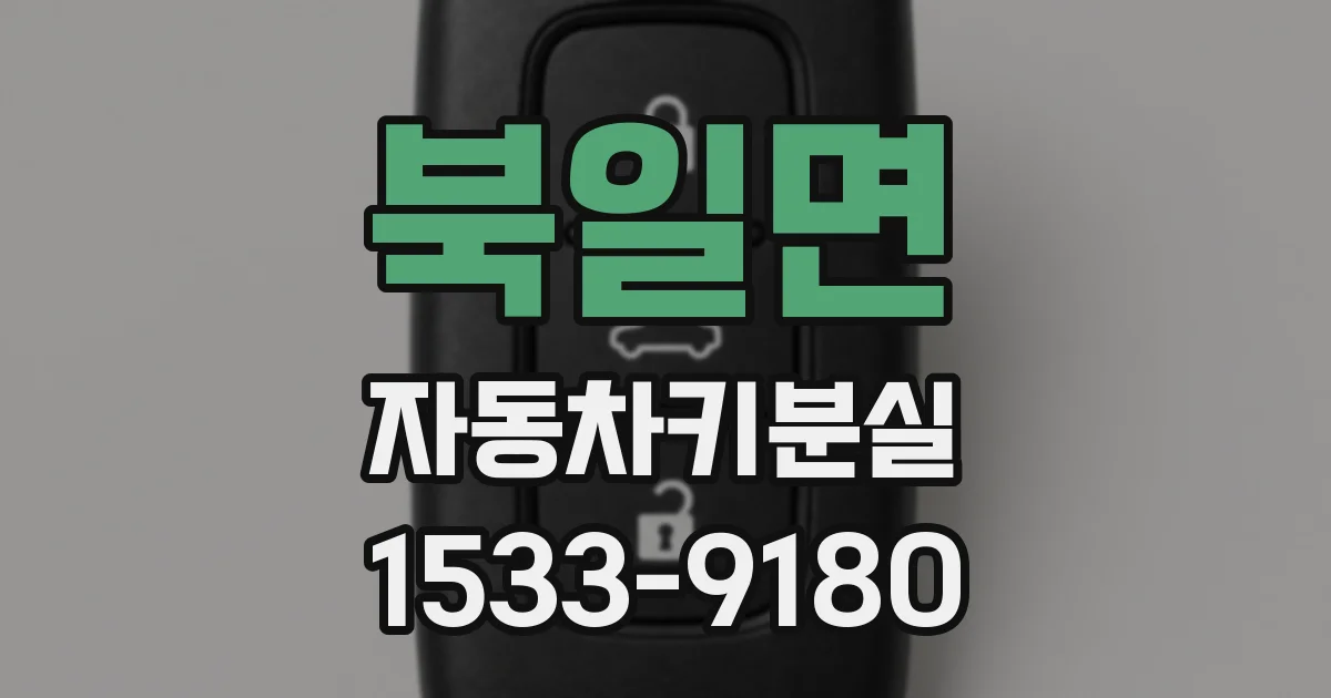 북일면 자동차키분실