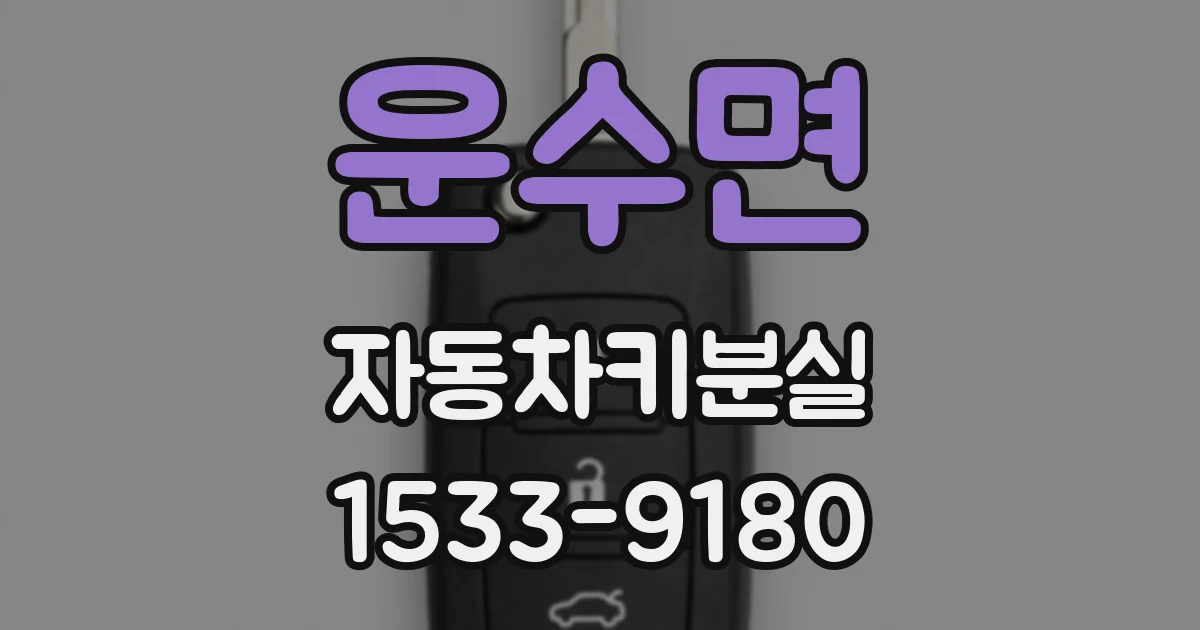 운수면 자동차키분실