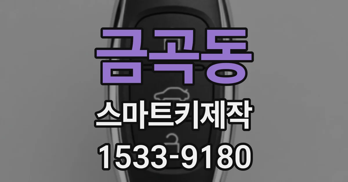 금곡동 스마트키제작