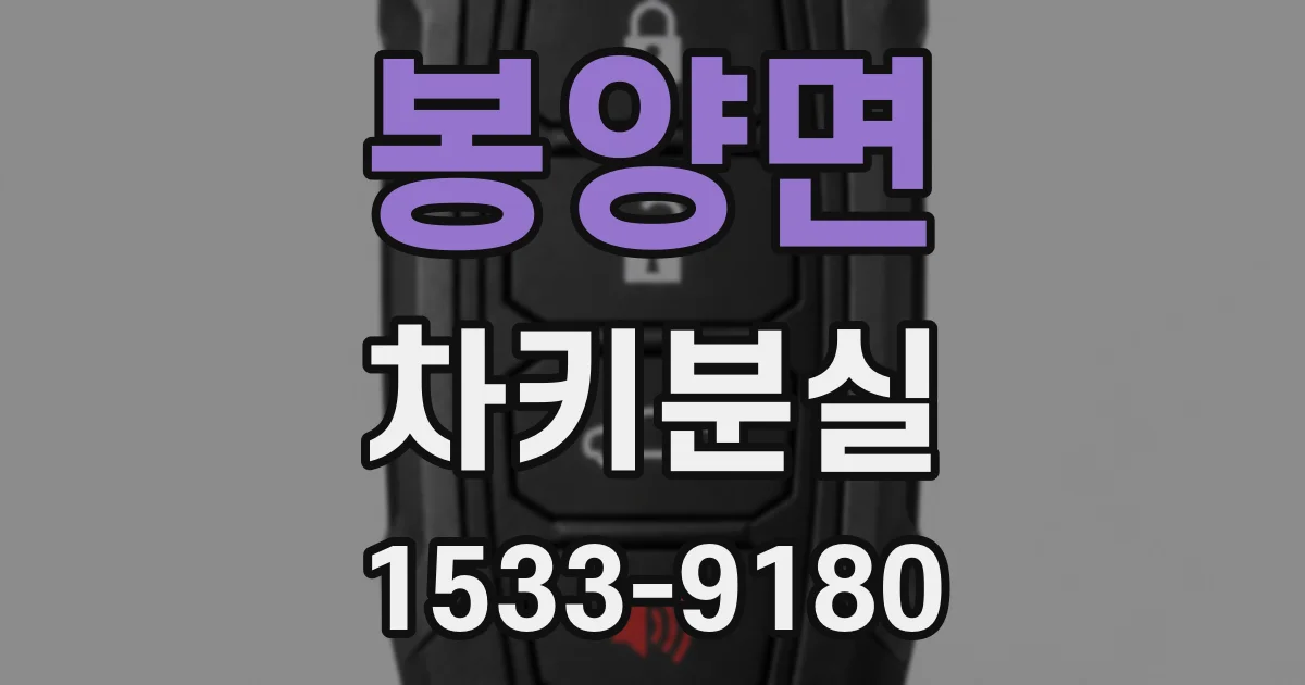 봉양면 차키분실