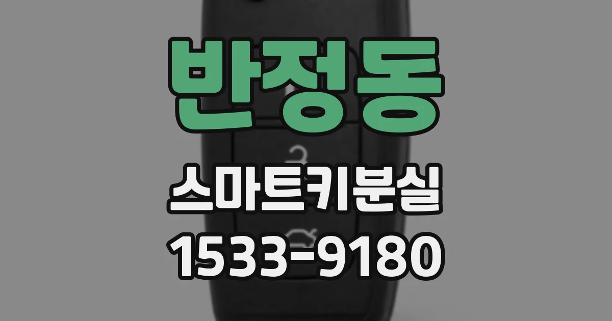 반정동 스마트키분실