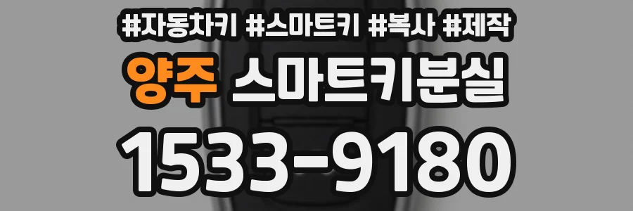 양주 스마트키분실