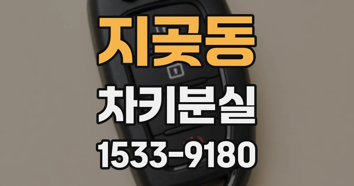 지곶동 차키분실