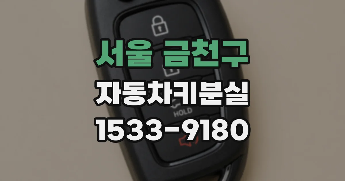 서울 금천구 자동차키분실