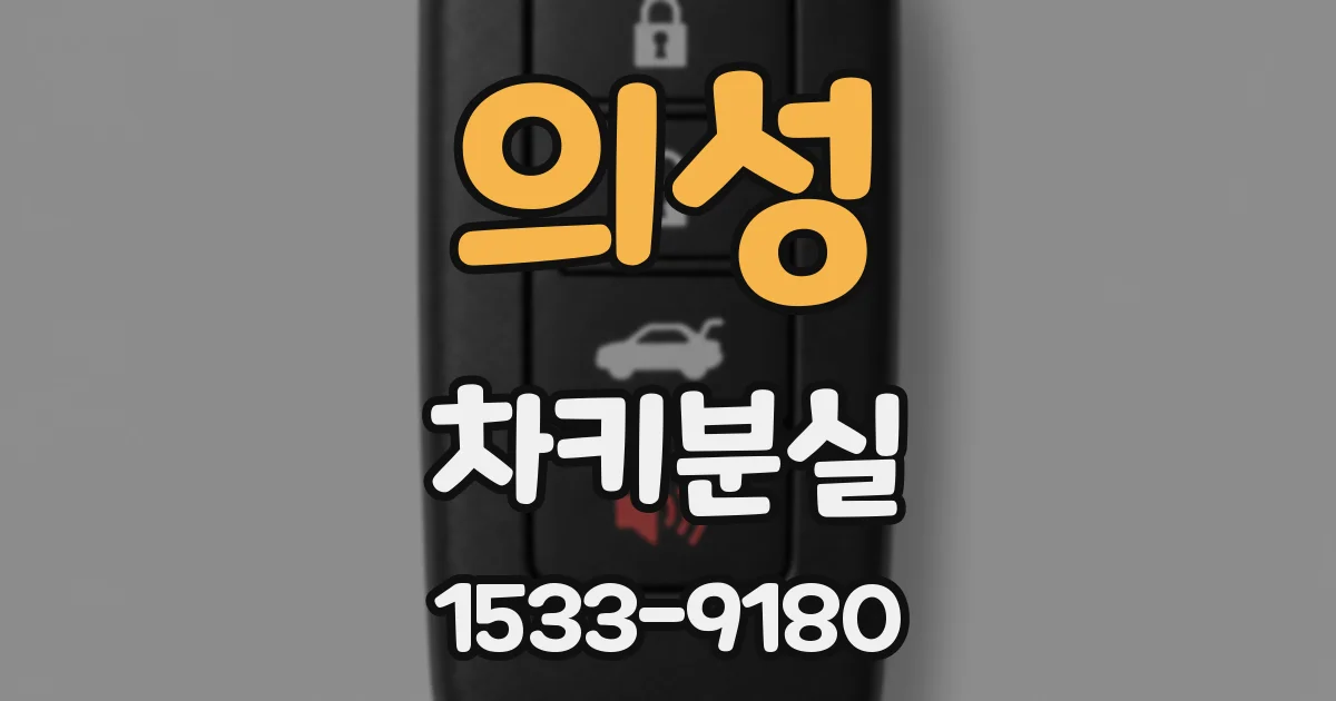 의성 차키분실